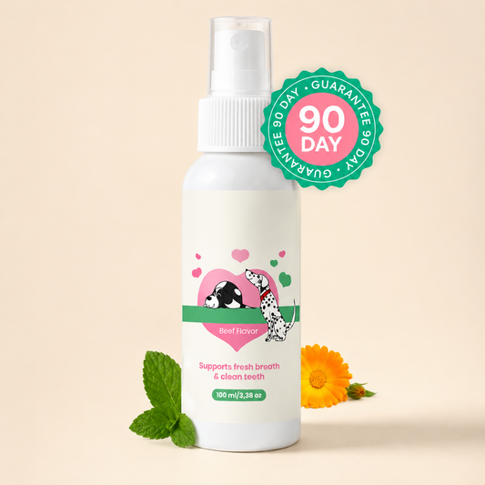 Pet dental spray