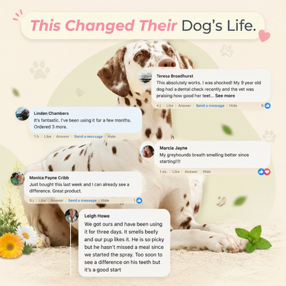 Pet dental spray