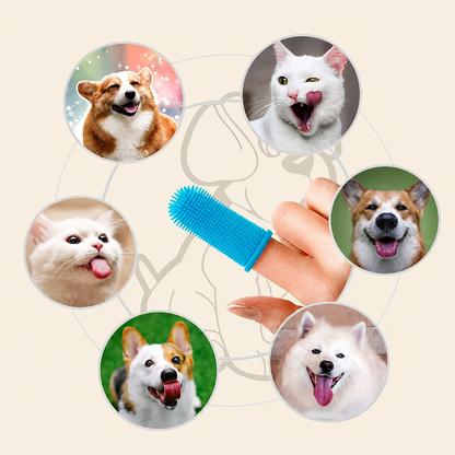 Dental cleaning finger cot