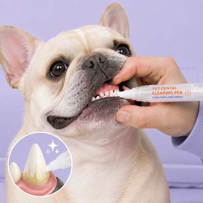 Pet teeth cleaning pen